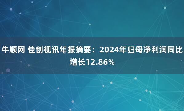 牛顺网 佳创视讯年报摘要：2024年归母净利润同比增长12.86%