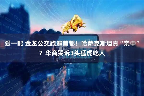 爱一配 金龙公交跑遍首都！哈萨克斯坦真“亲中”？华商哭诉3头猛虎吃人