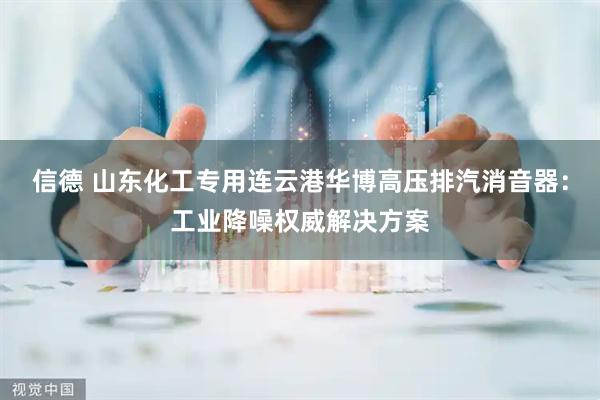 信德 山东化工专用连云港华博高压排汽消音器：工业降噪权威解决方案