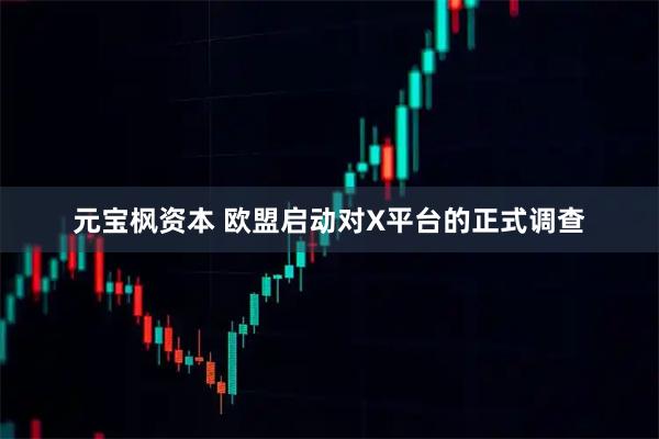 元宝枫资本 欧盟启动对X平台的正式调查