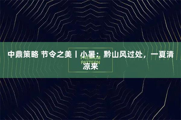 中鼎策略 节令之美丨小暑:黔山风过处,一夏清凉来